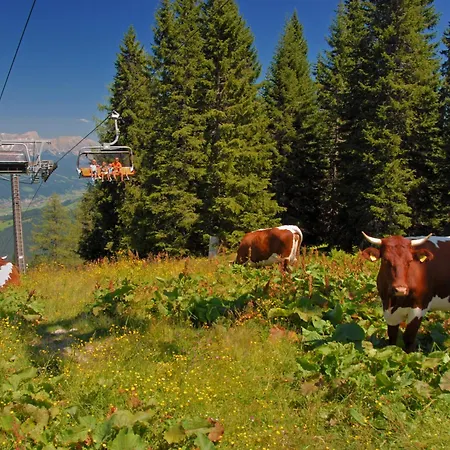 Reitdorf-1 By Interhome Апартаменты *